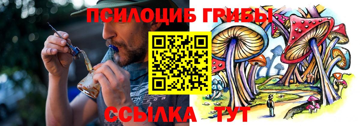 Галлюциногенные грибы Psilocybine cubensis  Вход с VPN  Нововоронеж 